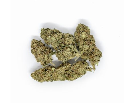 Sativa Poland Susz CBD Kosher Kush - 4